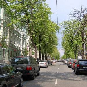 Yevhena Chykalenka Street